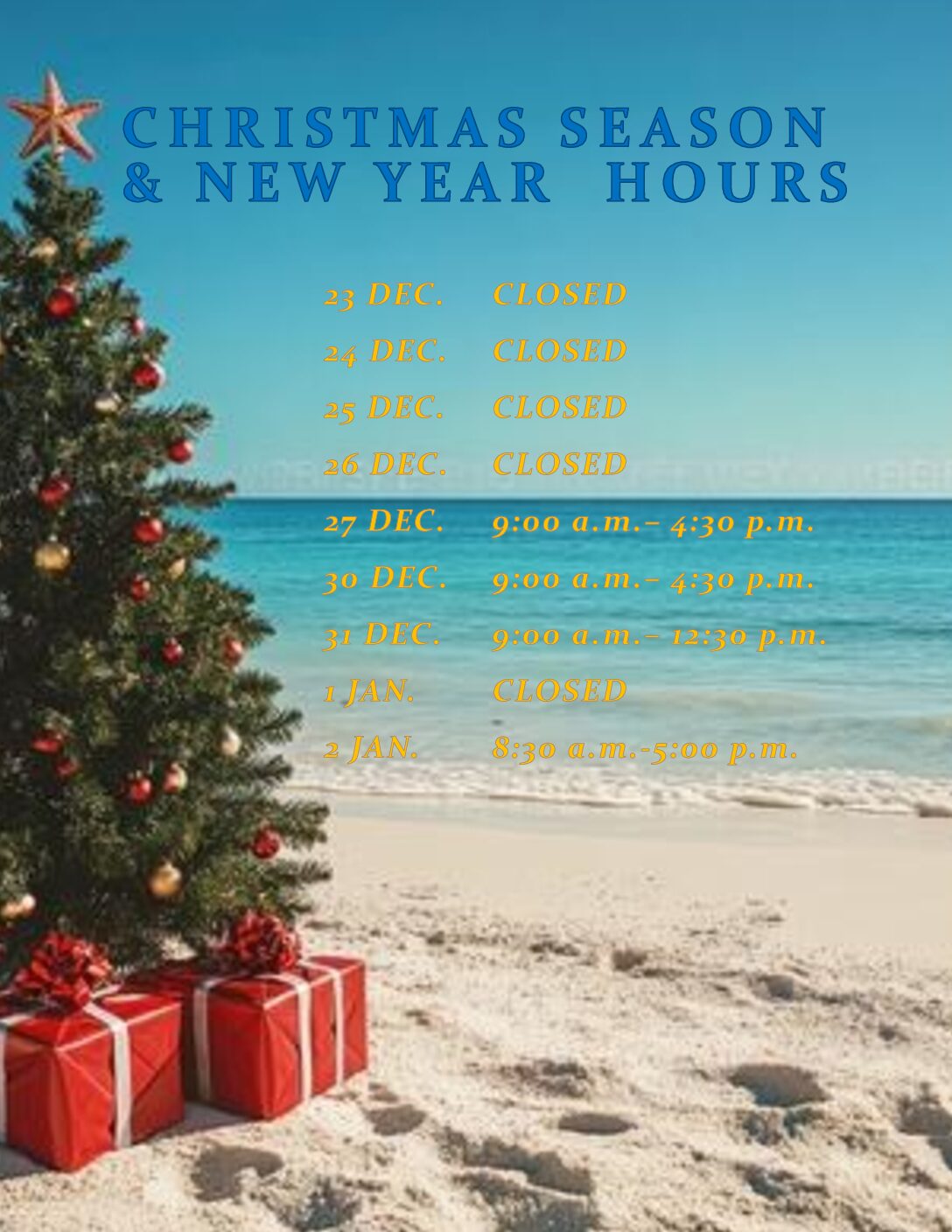 Christmas Season and New Year Hours